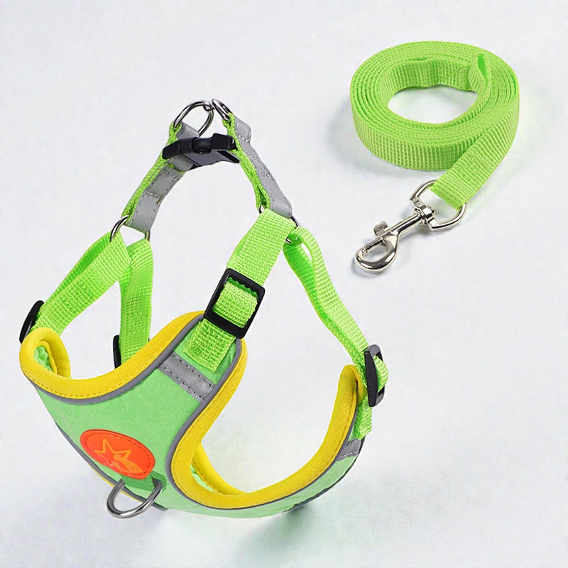 Harnais petit chien léger et coloré - vert