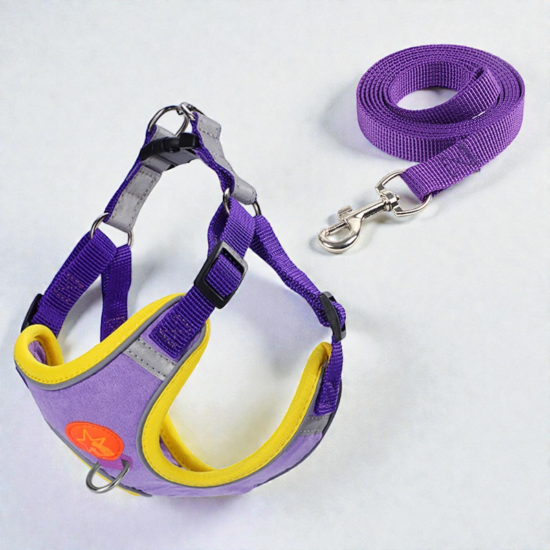 Harnais petit chien léger et coloré - violet
