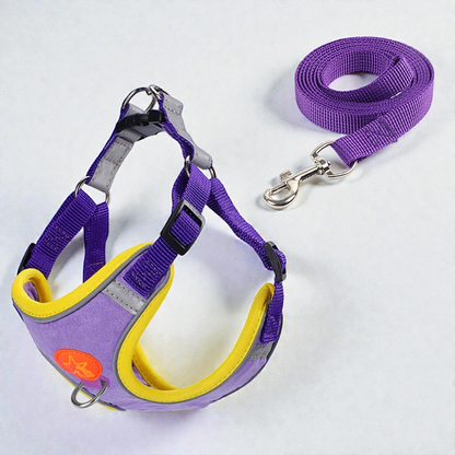 Harnais petit chien léger et coloré - violet