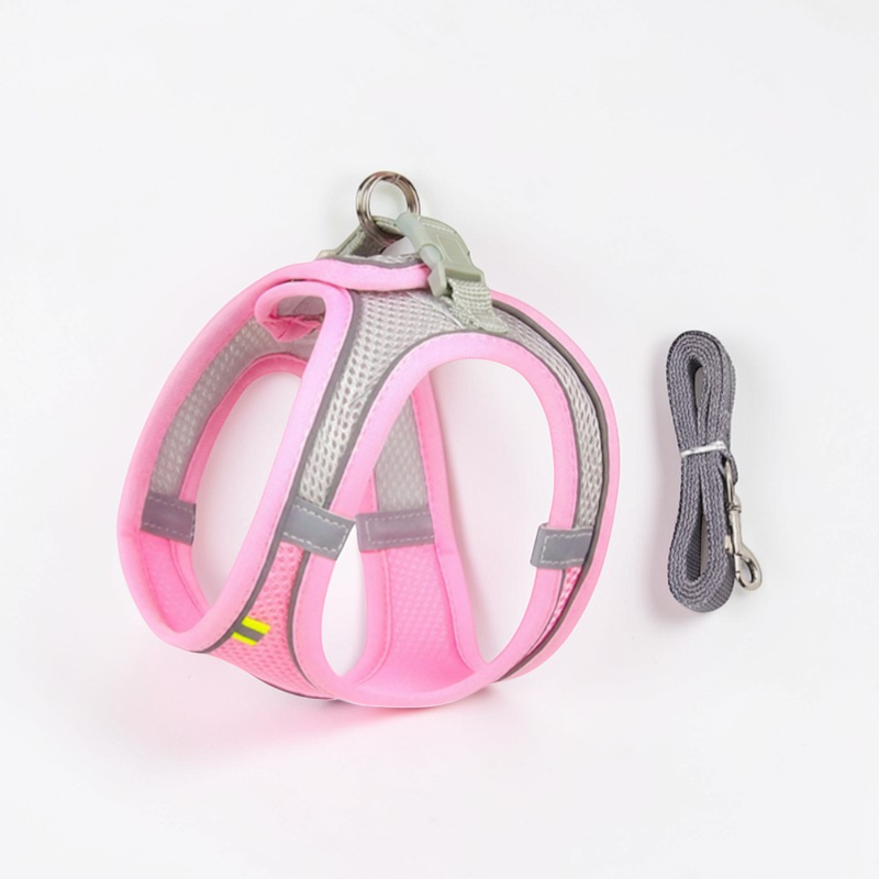 Harnais pour petit chien - Gilet rembourré