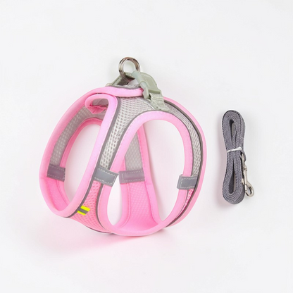 Harnais pour petit chien - Gilet rembourré
