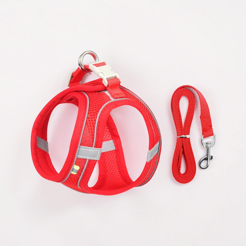 Harnais pour petit chien - Gilet rembourré