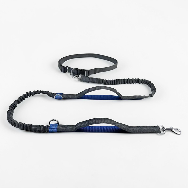 Laisse main libre pour chien - Free Walk