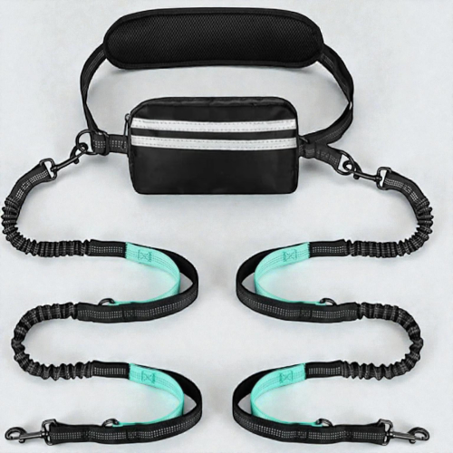 Laisse chien main libre double - Free Walk