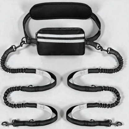 Laisse chien main libre double - Free Walk