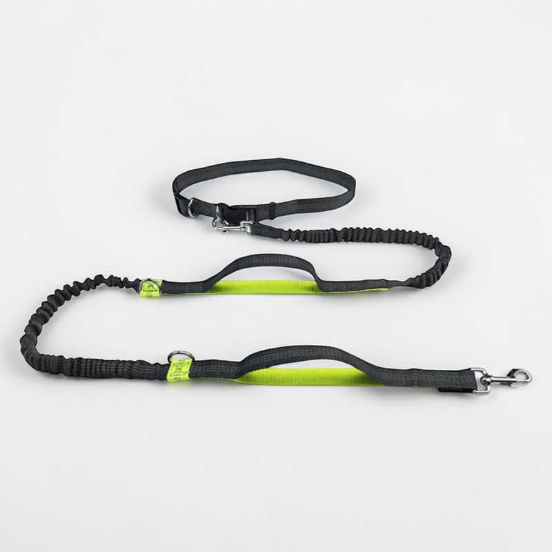 Laisse main libre pour chien - Free Walk