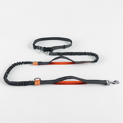 Laisse main libre pour chien - Free Walk