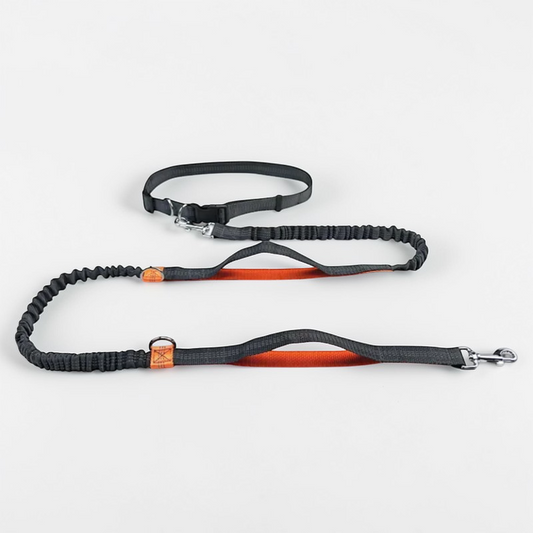 Laisse main libre pour chien - Free Walk