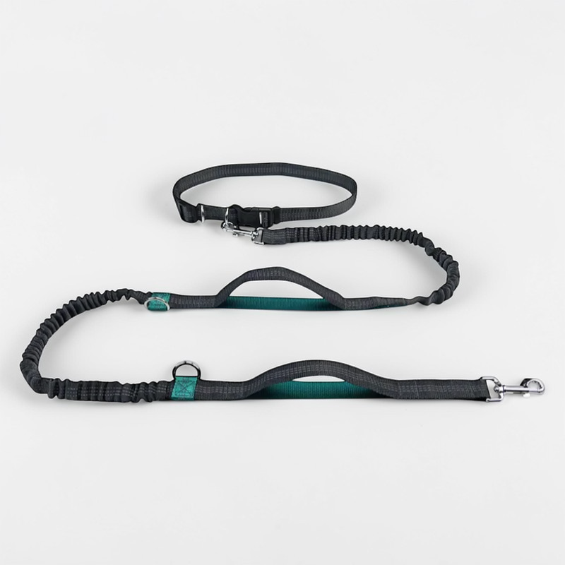 Laisse main libre pour chien - Free Walk