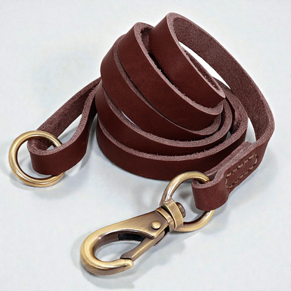 Laisse pour chien en cuir - Souple & Résistant