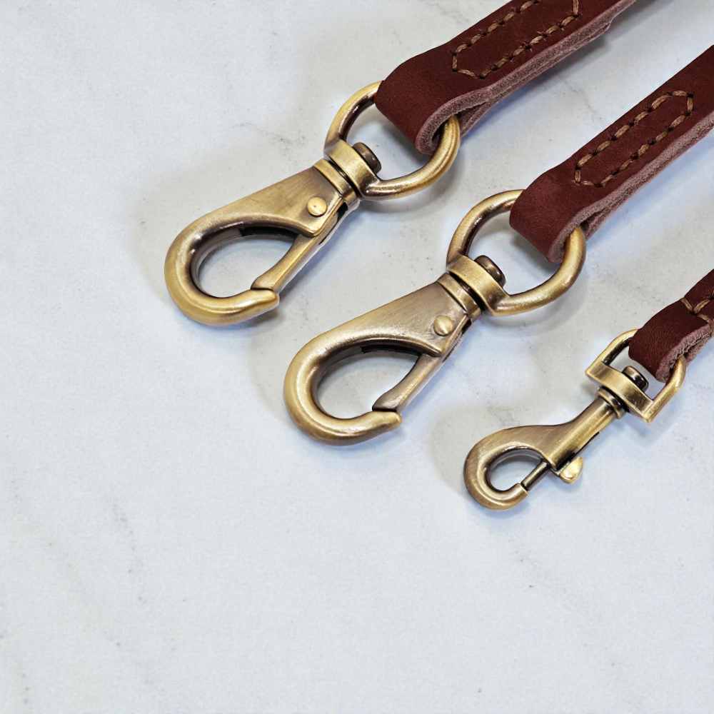 Laisse pour chien en cuir - Souple & Résistant