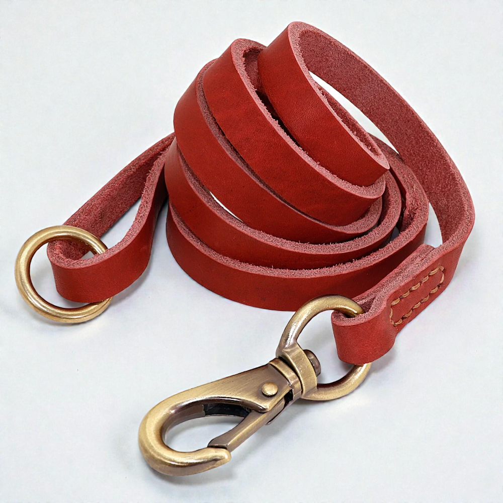 Laisse pour chien en cuir - Souple & Résistant