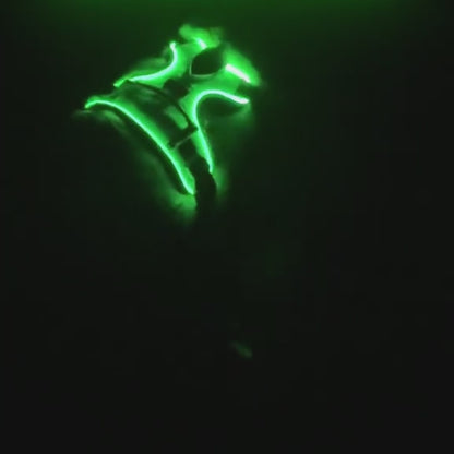 Harnais lumineux chien LED - Dog Safe