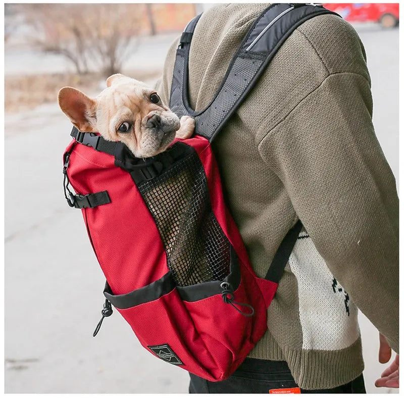 Sac à Dos de Transport pour Chien - Photo
