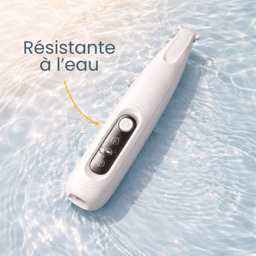 Tondeuse pour patte de chien - Moteur silencieux & Waterproof