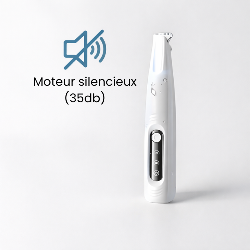 Tondeuse pour patte de chien - Moteur silencieux & Waterproof